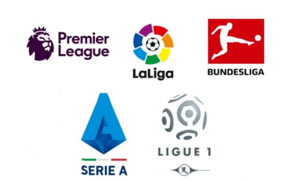 伤病管理与 伤病管理与